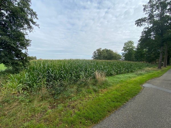 Kolenmieten 0-ong, Vroomshoop